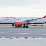 Compania aeriană AnimaWings solicită deschiderea procedurii de insolvență