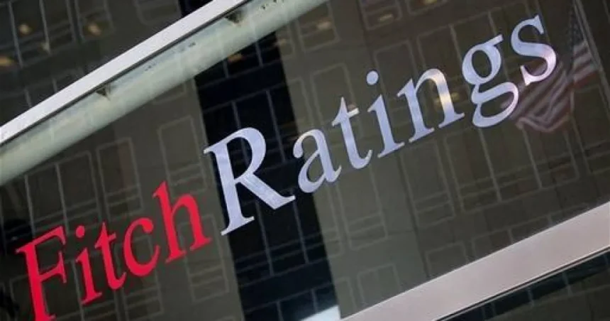 Fitch avertizează România de riscul retrogradării la „junk” pe fondul crizei politice
