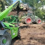 Găești: Colectarea gratuită a crengilor din gospodării reîncepe pe 1 octombrie