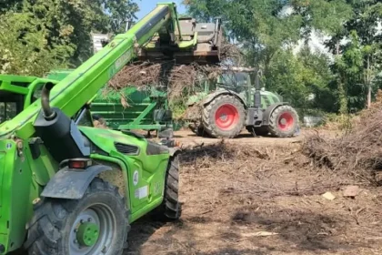 Găești: Colectarea gratuită a crengilor din gospodării reîncepe pe 1 octombrie