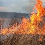 Incendii de vegetație la Băleni și Cândești Vale. Pompierii au intervenit