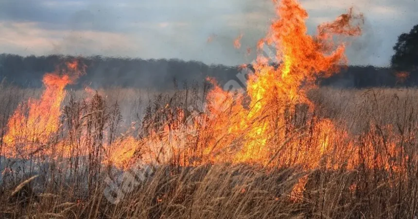 Incendii de vegetație la Băleni și Cândești Vale. Pompierii au intervenit