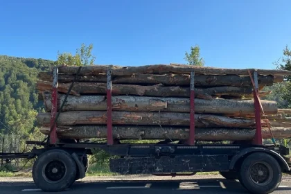 Primăria Bezdead ajută proprietarii de atelaje să evite problemele la transportul lemnului