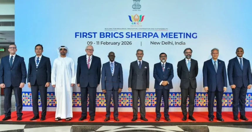 Summitul BRICS, programat în acest weekend la Delhi