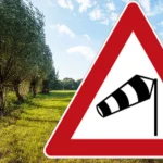 Vânt puternic în Dâmbovița până miercuri seară, rafale de până la 55 km/h