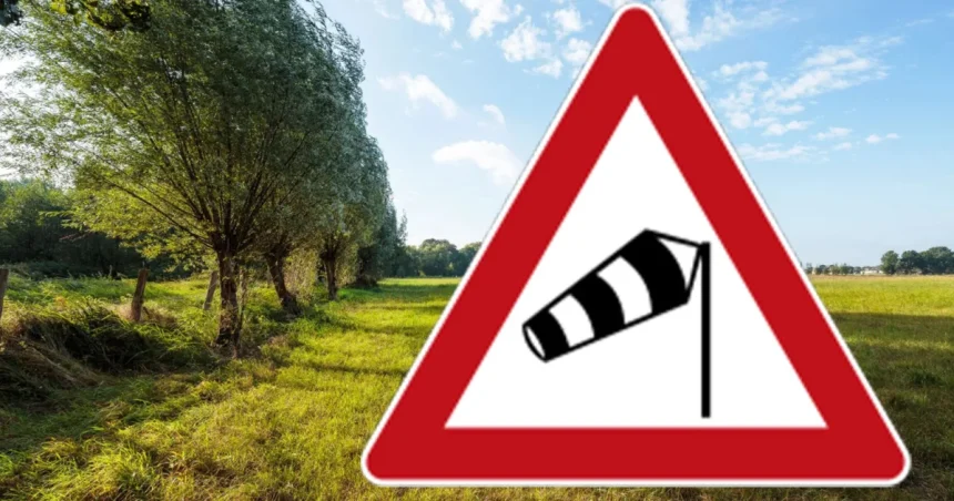 Vânt puternic în Dâmbovița până miercuri seară, rafale de până la 55 km/h